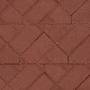 Bisschopsmuts | 8cm | heide