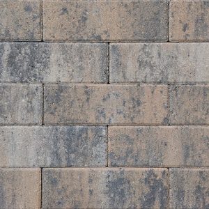 Longstone | musselkalk