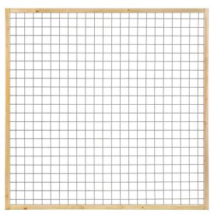 Gaasscherm Grenen | 180x180cm