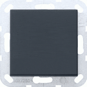 Gira Systeem 55 Installatieschakelaar