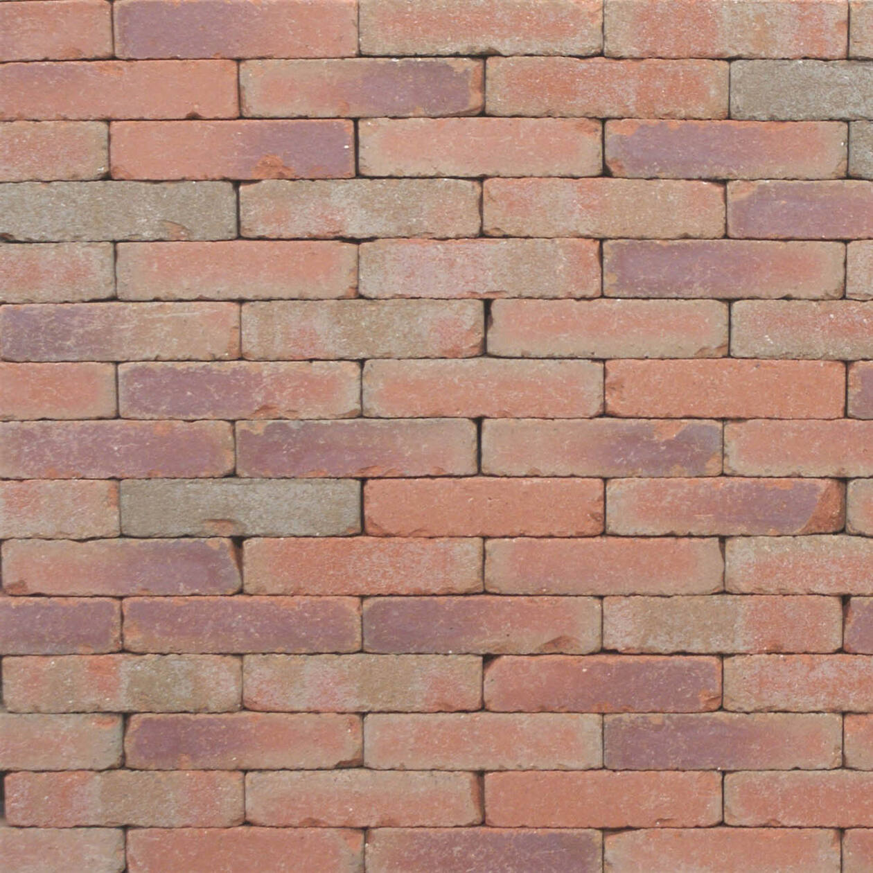 e5262c4b-58d0-4805-b333-7380a6bd1569