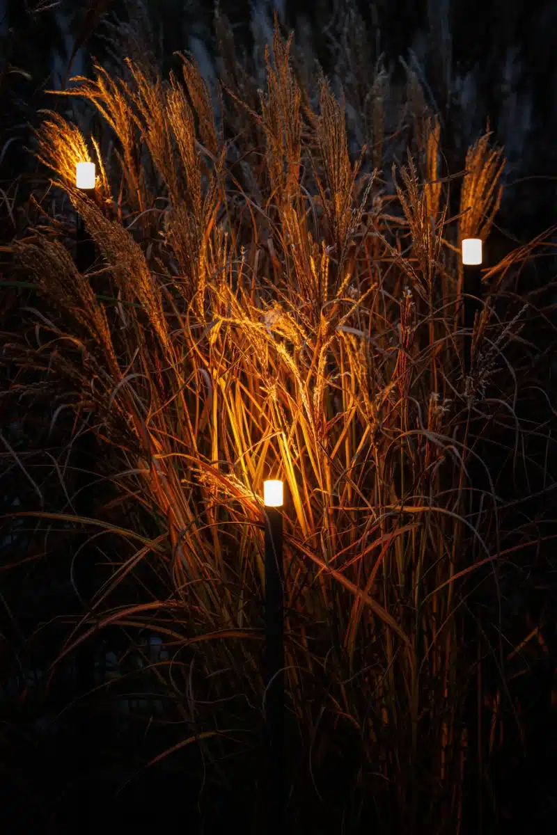image-12-800x1200